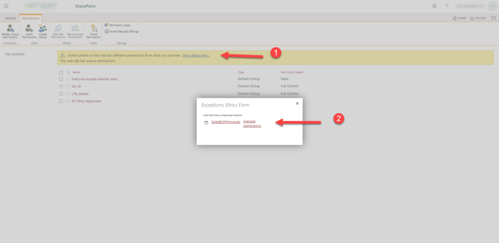 Site permissions page: the message with Show these items, and the Exceptions dialog listing a SintelBI list with manage permissions
